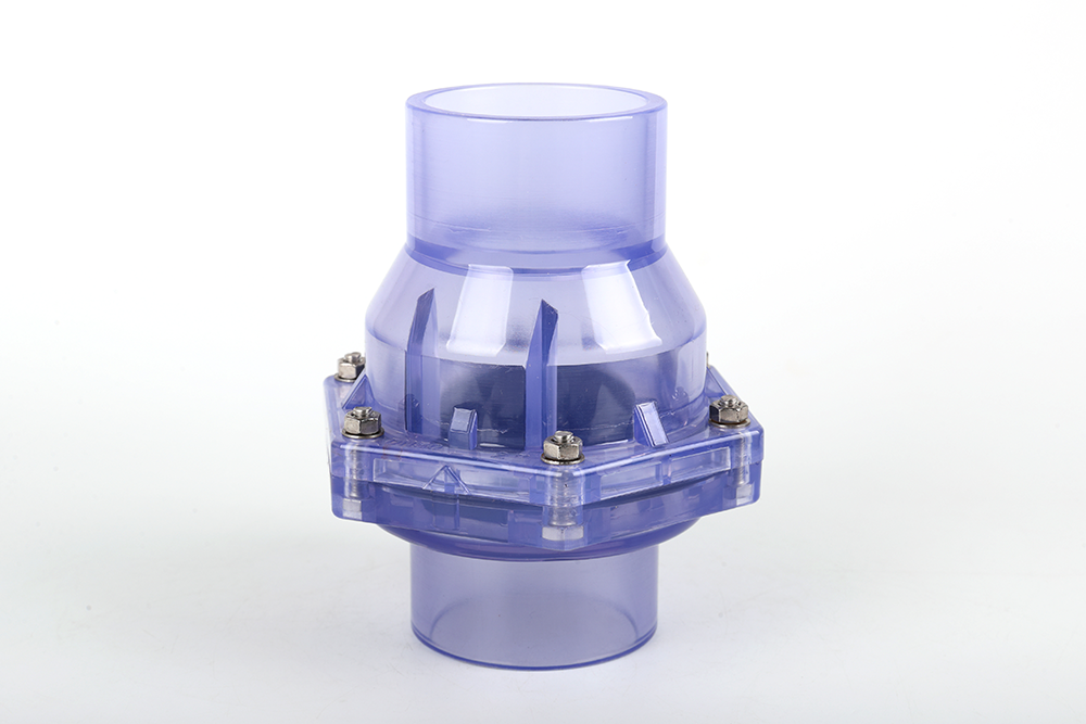 南澳透明翻板式止回阀